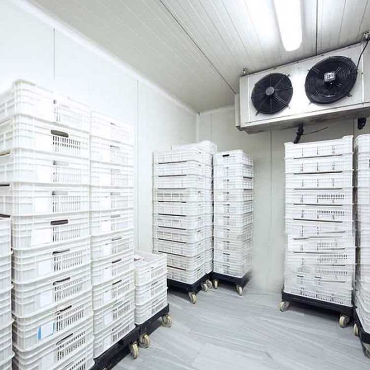 Koolmax Bespoke Remote Freezer Rooms Food Storage Koolmax Bespoke Freezer Room