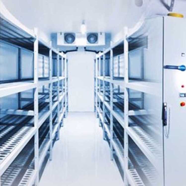 Koolmax Bespoke Remote Freezer Rooms shelves Koolmax Bespoke Freezer Room