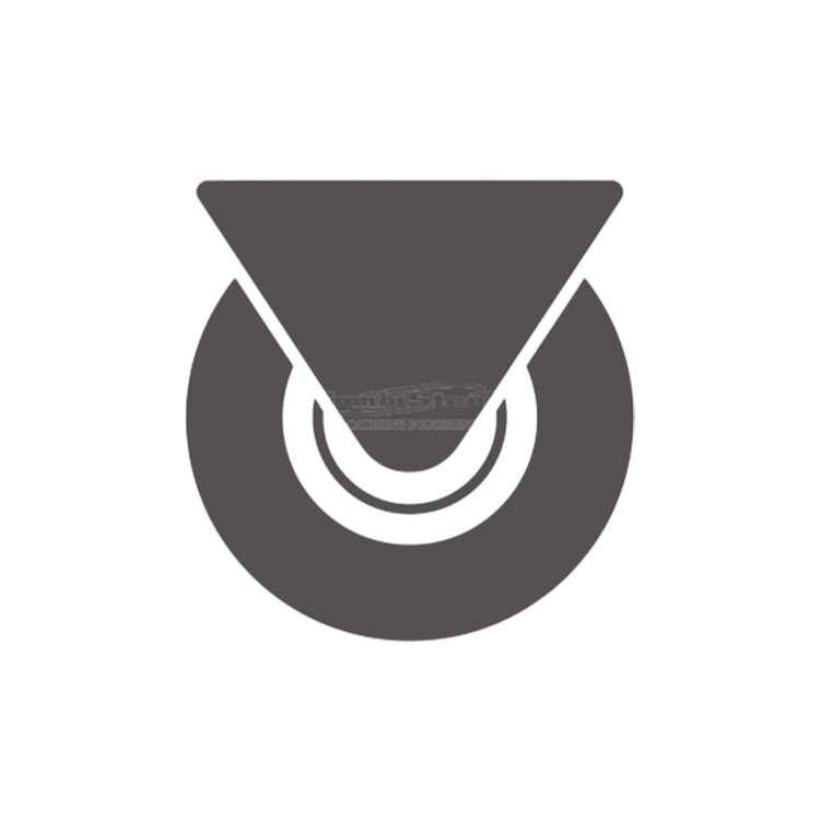 Combisteel 7450.0555 SS Castor Combisteel 7450.0555 SS Castor